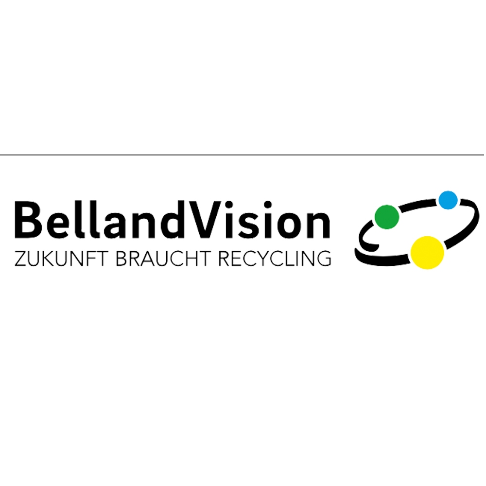 Belang Vision Logo